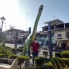 Imagen de GUSQUI TIERRA EVER SANTIAGO
