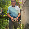 Imagen de GUERRERO BONILLA LUIS DAVID