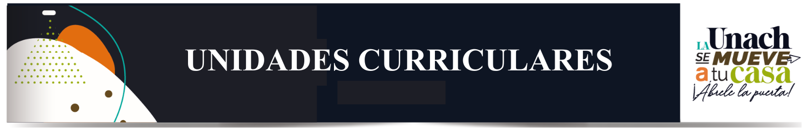 Desarrollo de unidades curriculares