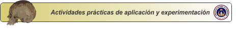 logo actidade