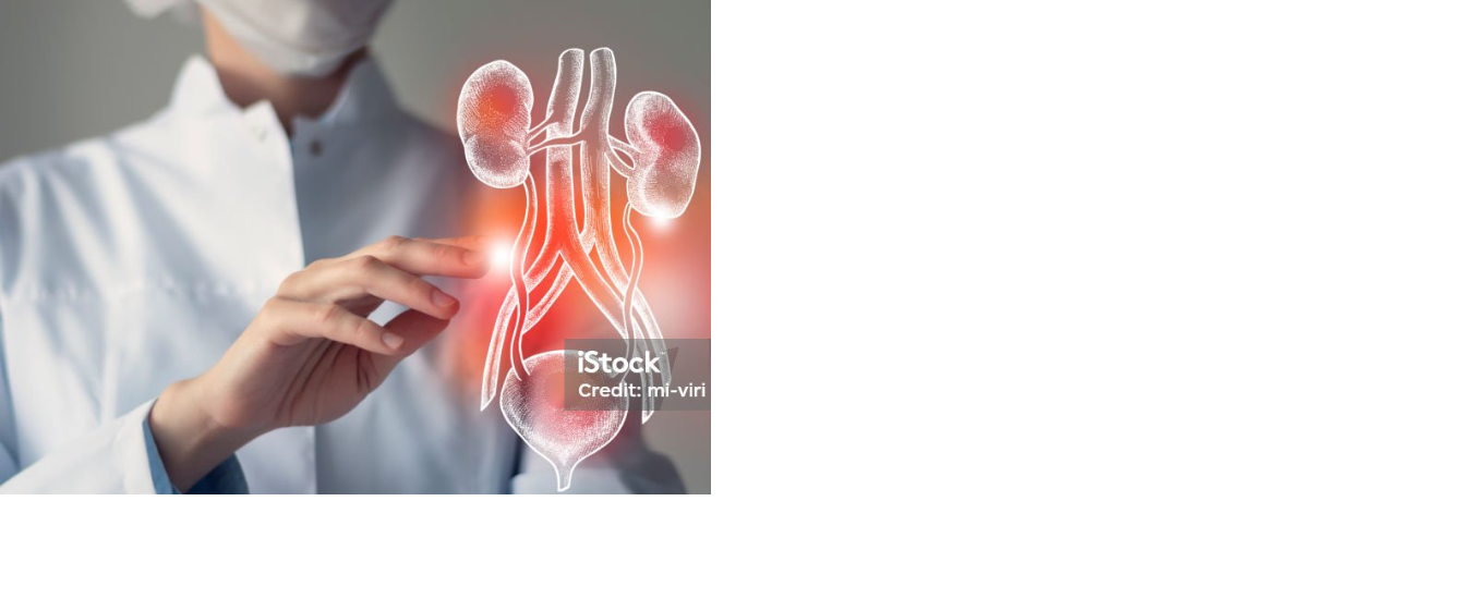 UNIDAD 1: introducción a la Urología